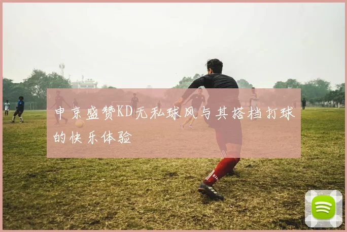 申京盛赞KD无私球风与其搭档打球的快乐体验